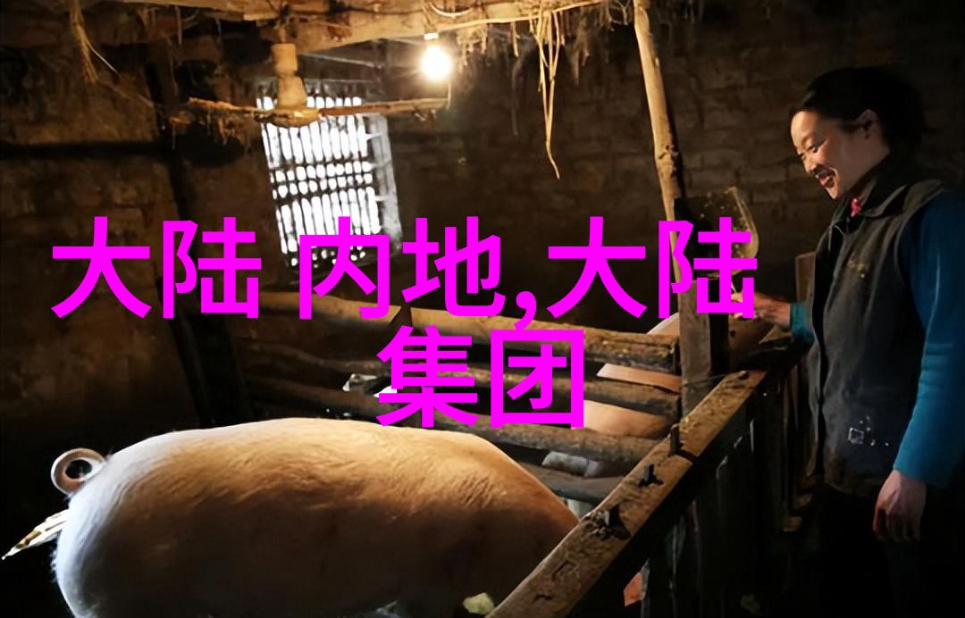 夏日恋情温暖的阳光下拍摄的情侣写真故事