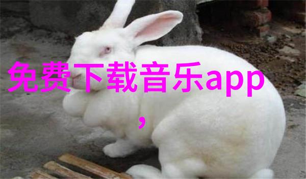 婚姻 Compatibility Test免费最准确的婚姻配对测试