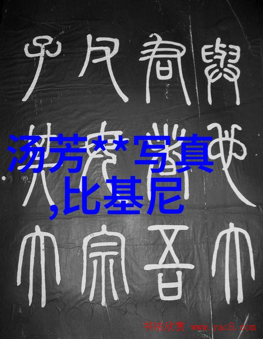 创新还是冒险解析大胆艺术摄影风格的不同类型