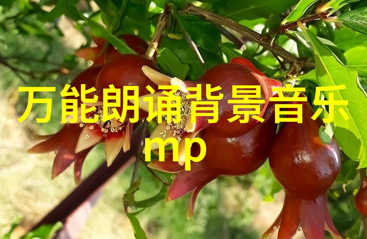 女人洒脱大气的句子时尚女性语言表达