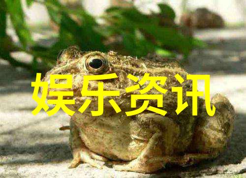 时尚界的盛宴最新潮流展示