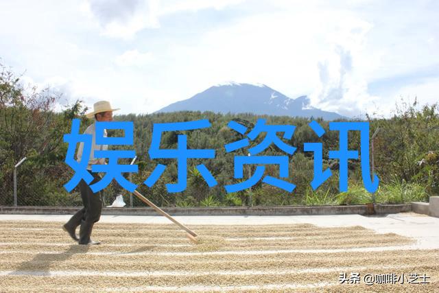 时尚与运动的完美融合追逐潮流的健身风格