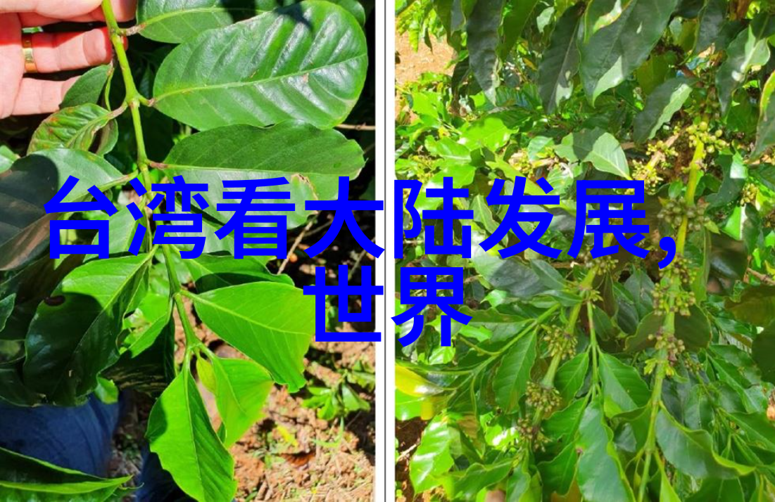 时尚达人张柏芝蓝色条纹西装下的光影迷人之谜