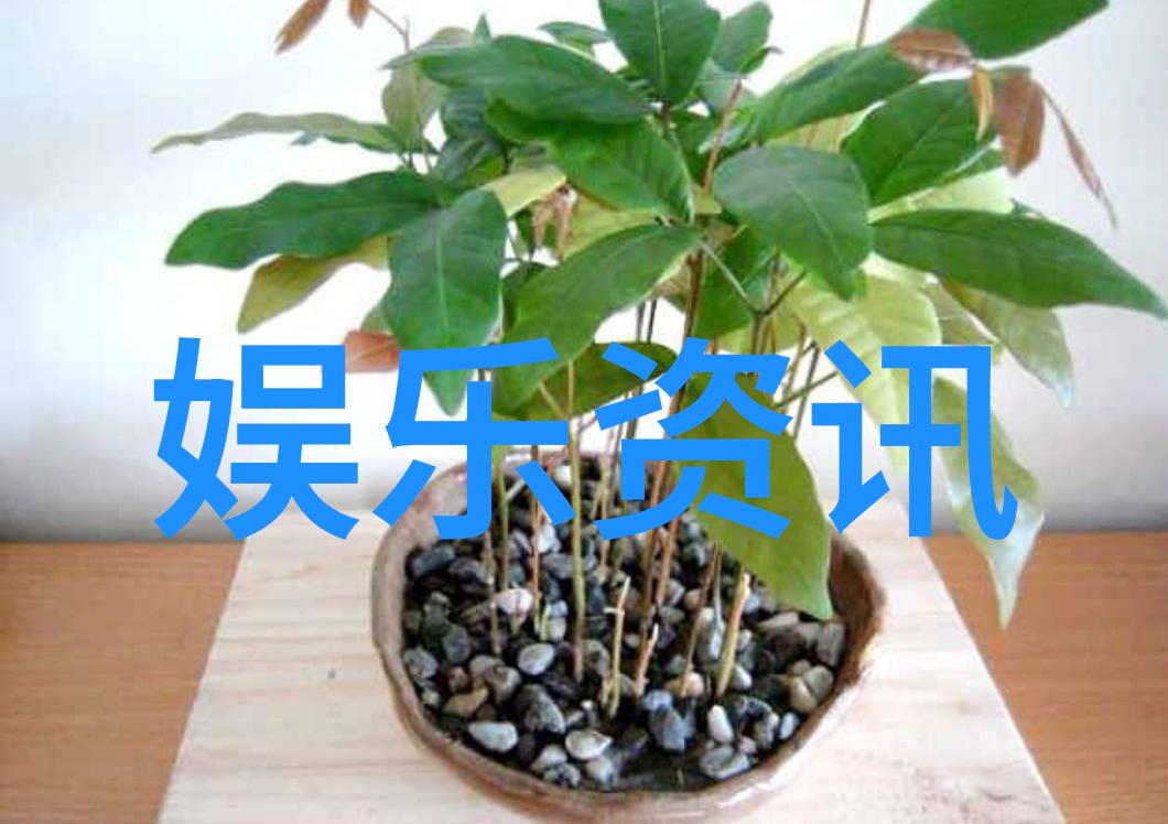 千仞雪和唐三 视频3d我眼中的奇幻冒险跟着千仞雪和唐三一起体验3D视频的魔力