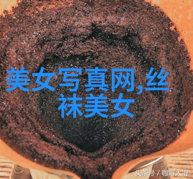 艳舞写真镜头下的花样年华