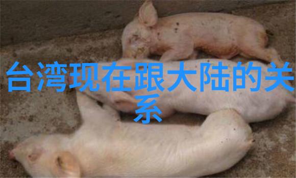 在这个快节奏的世界里我们有没有一种方式能让每个人都能轻松愉快地享受娱乐时光呢答案似乎就在我们的手机屏