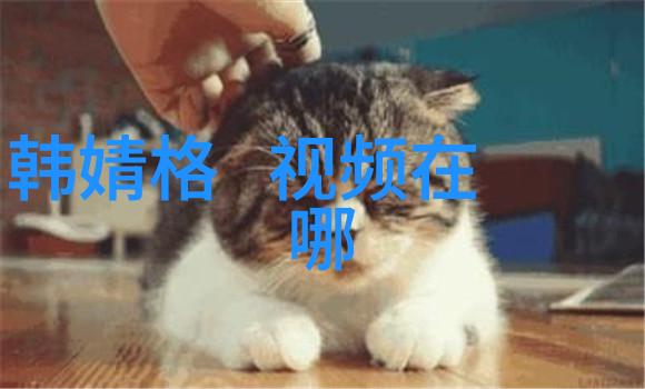 时尚女孩我的街头风采挑战