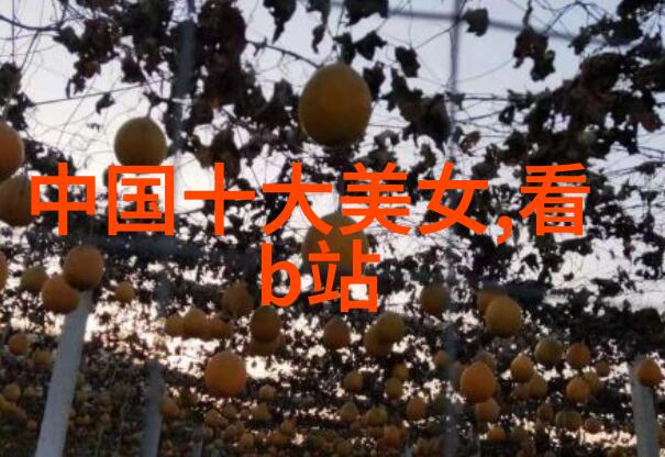 芋头条我家的芋头煎饼真不错