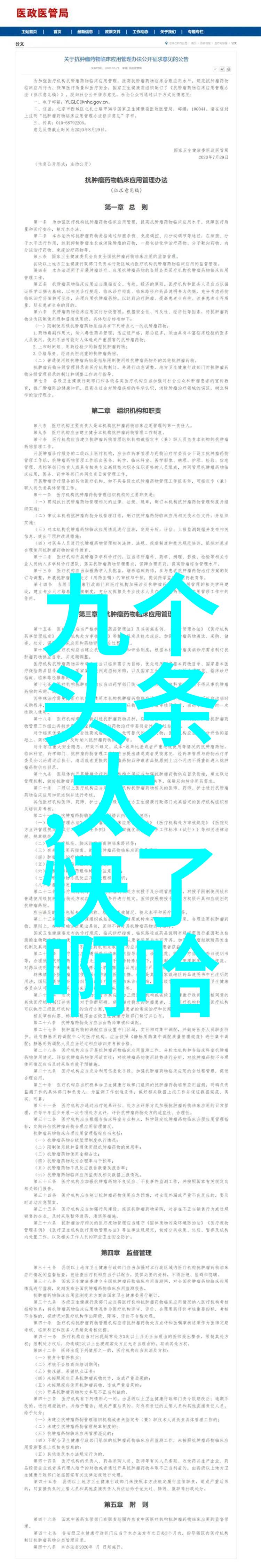 网红小物的魅力如何让你的社交媒体照片变得更加可爱
