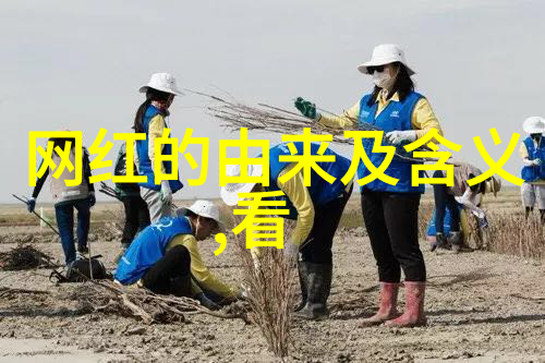 影视剧情中的亲爱小孩禾禾是否重获生机
