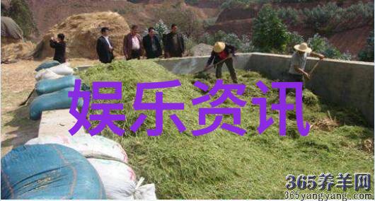 刘亚仁男友崔汉乐背后的真实工作揭秘后天八卦的自然力量