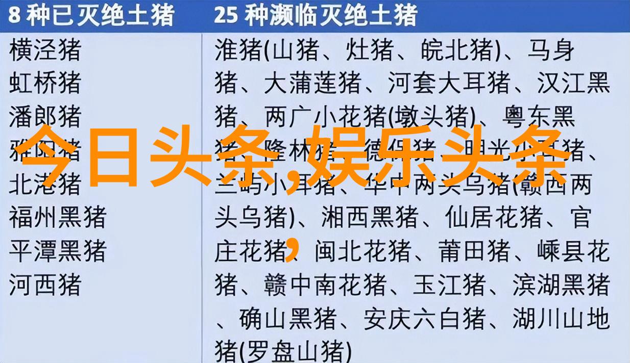 千千娱乐我是如何在千千娱乐发现自己真爱的