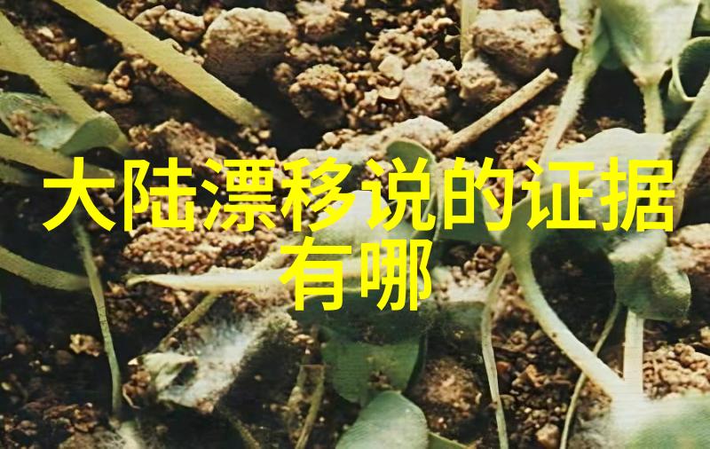 蔡思贝不满亚军席位 痛骂陈凯琳是飞机场