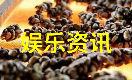 萧敬腾和方大同为香港极品好男声音乐会 携手开唱