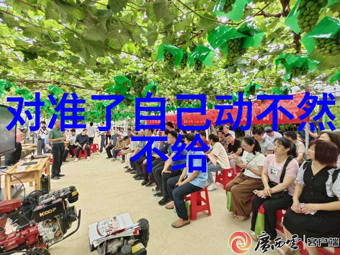 极速阅读新一代新闻应用的崛起与挑战