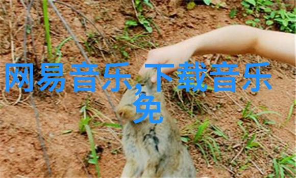 在斗罗大陆的广阔世界中自由与力量孕育而生却又被深邃的秘密和无尽的挑战所包围你是否有勇气踏上这条充满未