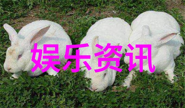 在追逐街头时尚照片的时候我们应该尊重哪些人和环境原则