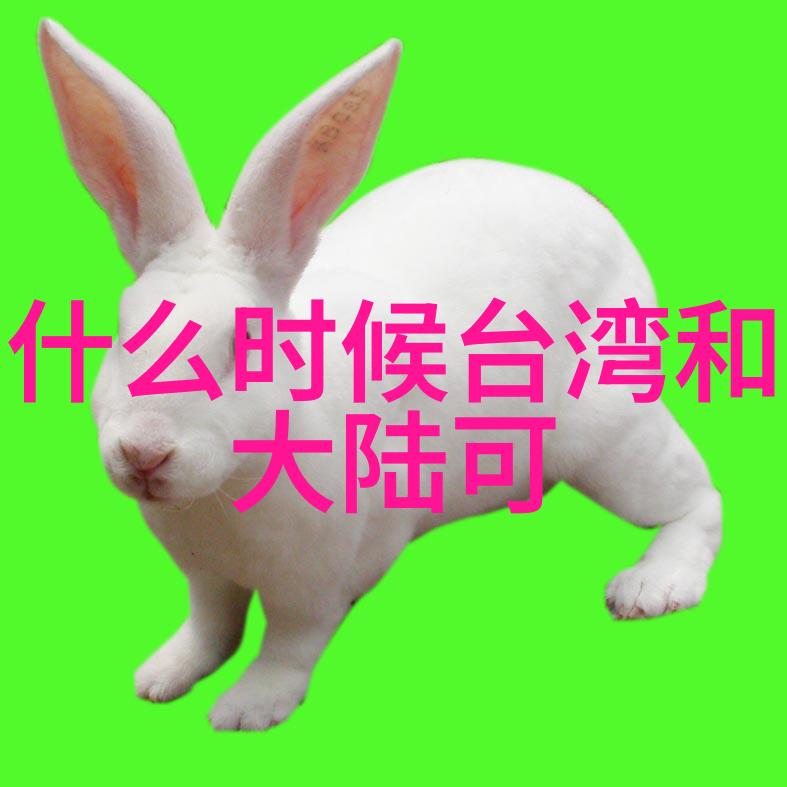 从校园到舞台大学生参与的热门日本综艺节目