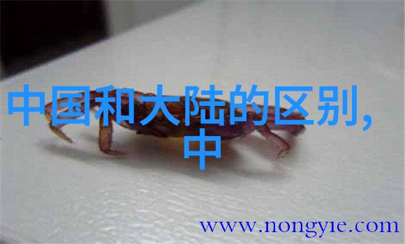 中国吃播人气排名100斗鱼主播小苏菲个人资料走红的秘诀是什么钱小佳谈恋爱是真的吗