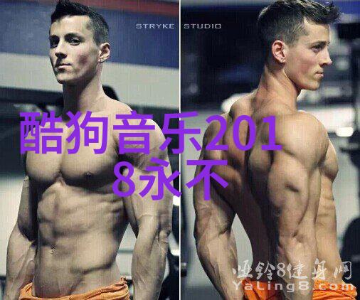 综艺大观娱乐圈的热门综艺节目盛宴
