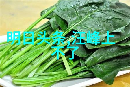 百度CEO就未来的技术发展方向发表演讲呼吁合作共赢