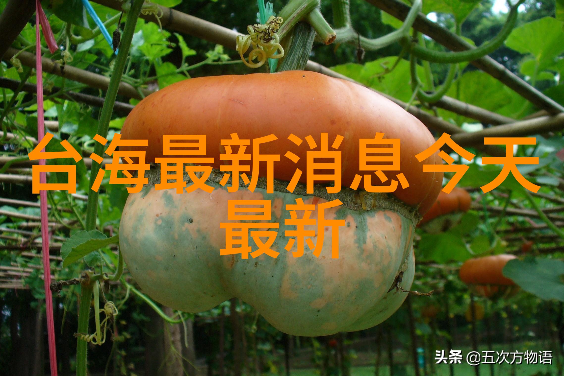 全网音乐免费下载神器解锁无限旋律轻松享受流行乐坛的每一曲