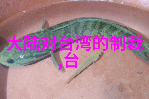 大叔头条创意不减岁月生活真棒的快乐艺术家