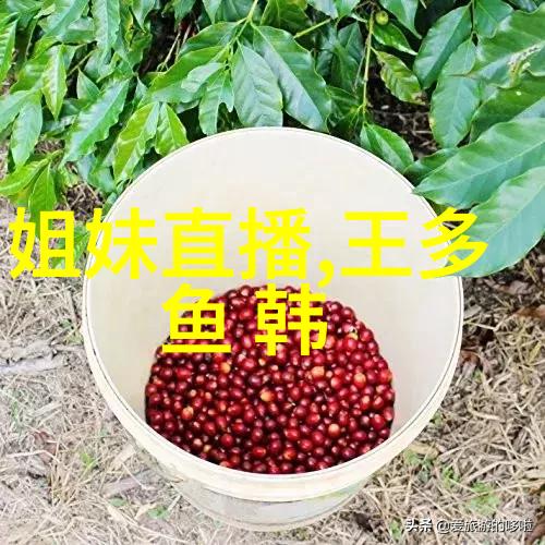台湾最新动态从政治改革到疫情防控揭秘岛国最近的十大重大事件