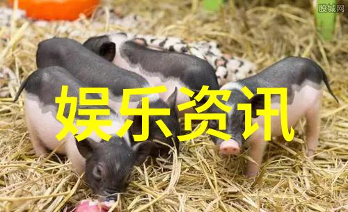时代少年团综艺我们一起嗨到天亮时代少年团的无限欢乐