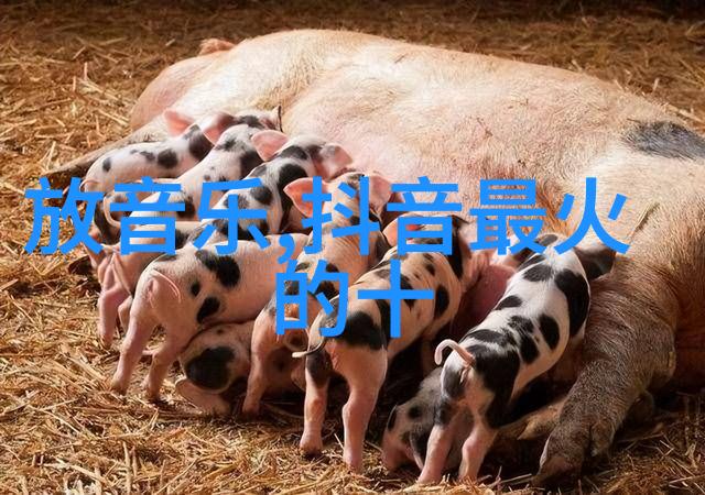 方块娱乐-探索数字世界方块游戏的崛起与文化影响