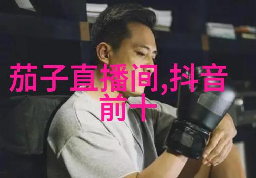 数字的守护者揭秘国际标准编号系统