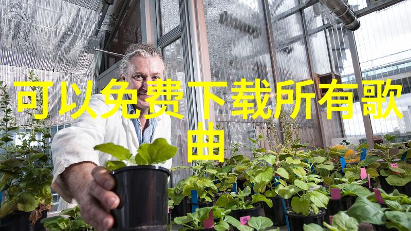 高以翔是在哪个综艺节目中消失的