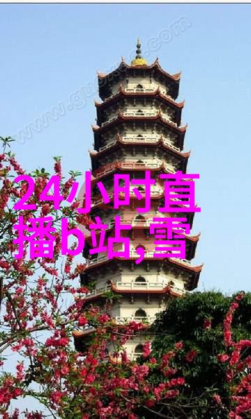 当我飞奔向你追剧不花钱的智慧