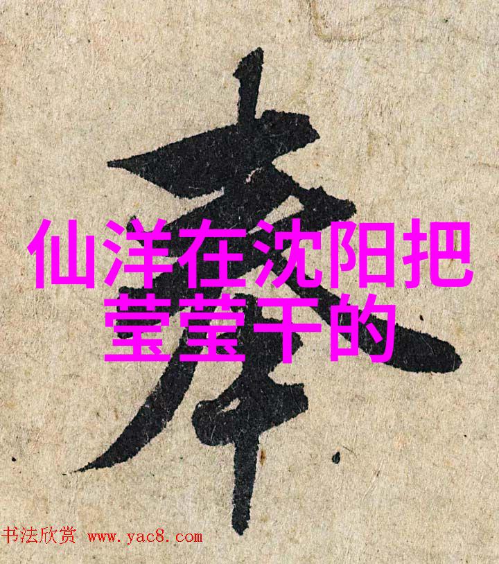 变形金刚 电影我是机器人你们是人类揭秘我们如何一起拯救世界