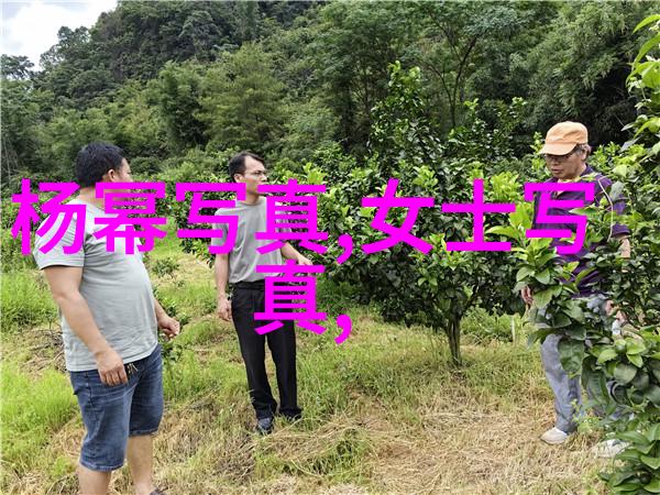 智能图片识别-图像分析技术的革命从自动标注到内容理解