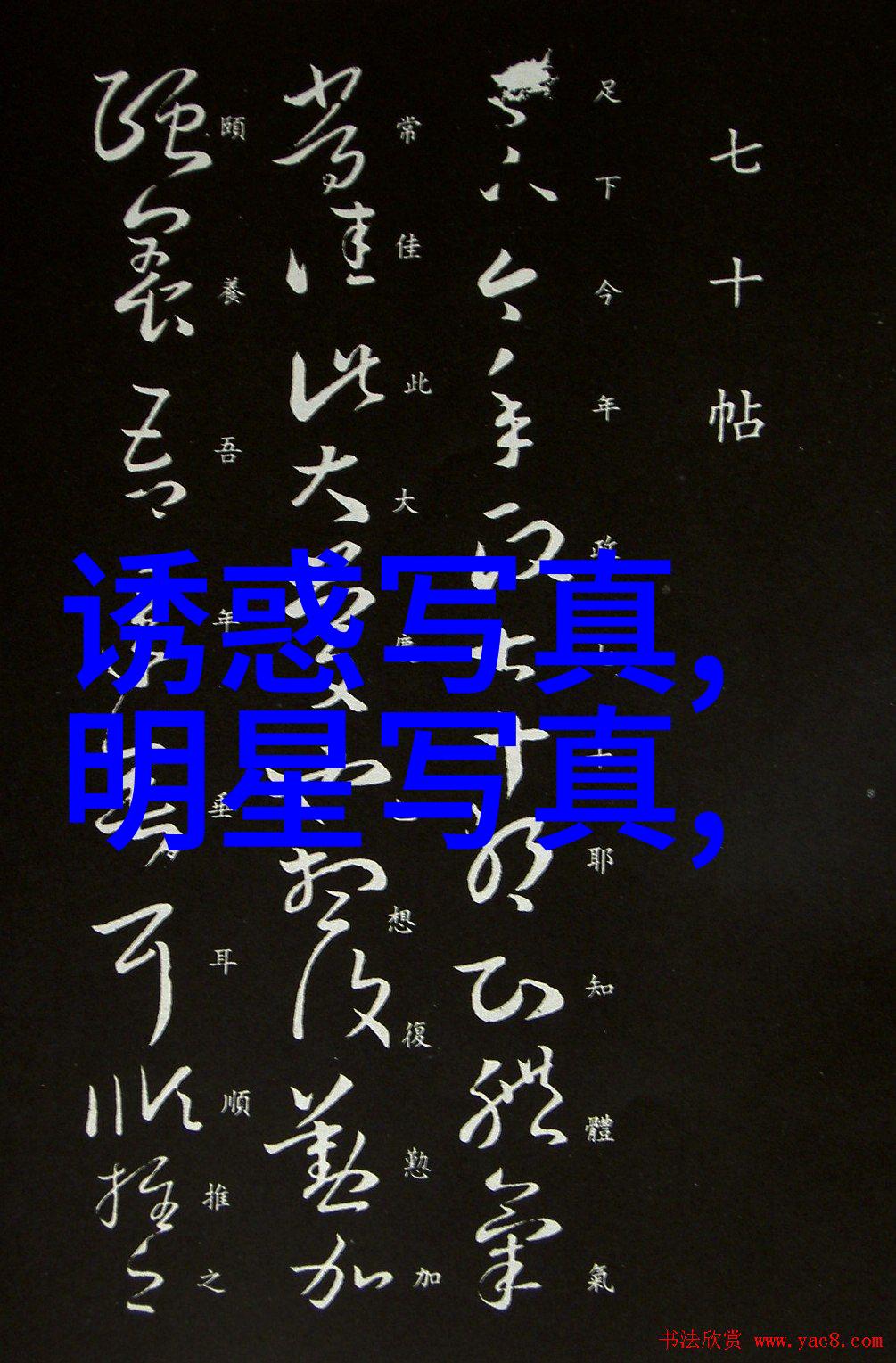 今日头条招聘揭秘科技巨头的职位空缺与求职机会