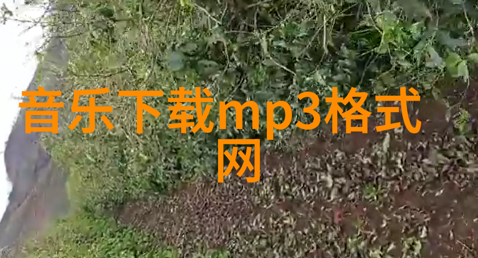 时尚族的魅力时尚族的潮流生活方式