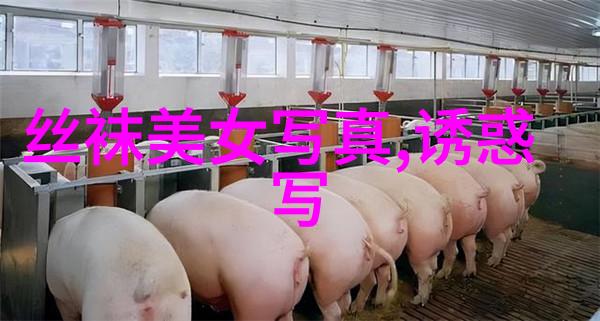 东方头条朝阳之光梦想启航