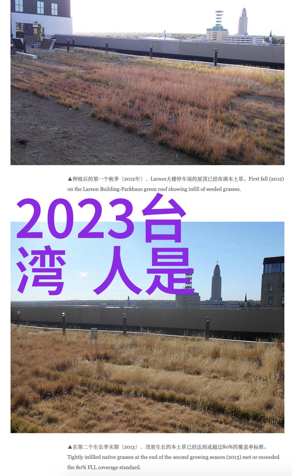 ZOOMSERVO远程办公新宠的智能助手
