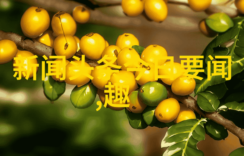 欢声笑语中的娱乐场所夜生活休闲娱乐与社交聚会的完美结合