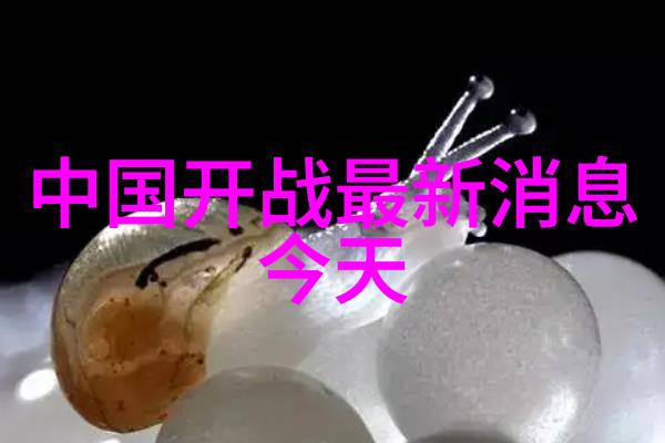 时尚界的黑色缤纷简约魅力探秘