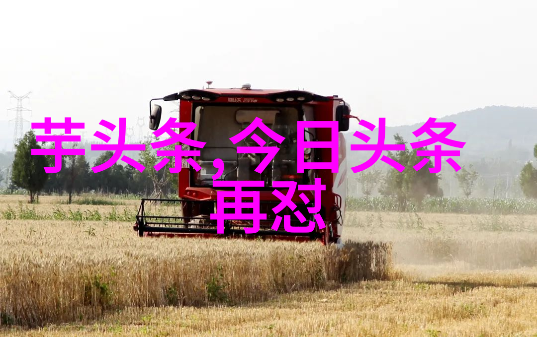 冯绍峰做亲子鉴定是真的吗-探秘影帝冯绍峰的亲子真相一场关于身份的考验