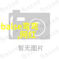 家务新星揭秘家务优等生综艺背后的家庭智慧与娱乐魅力
