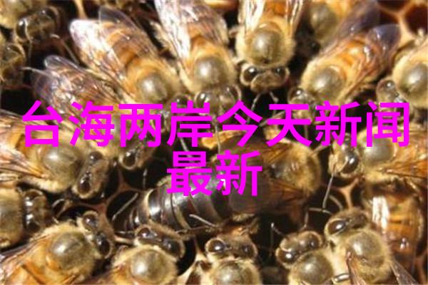 主题我是如何在云音乐网页版首页发现新歌的