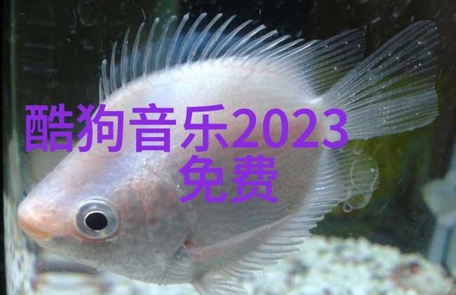 微博失去了一位时尚达人blase湾湾的账号消失了粉丝们急切等待回归