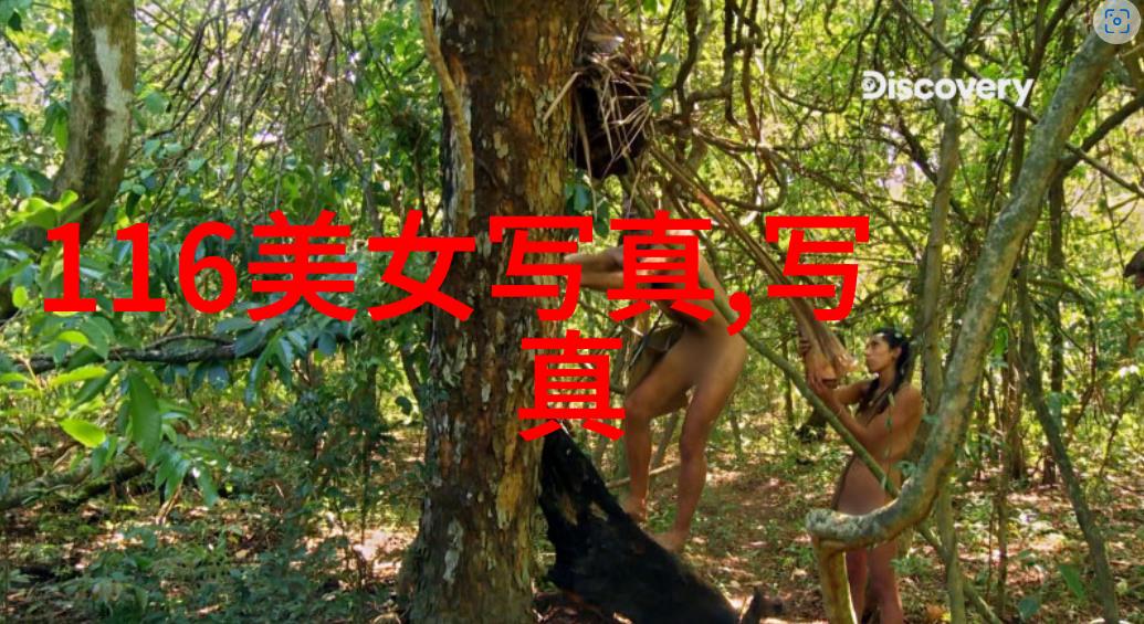 如何运用方位风水理论提升家居空间