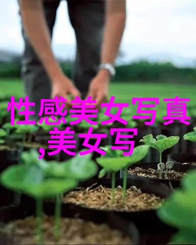 绝密计划子豪的60次智谋挑战