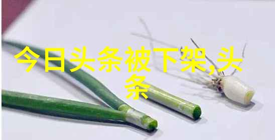 邓超问谁能把鹿晗带走 天天缠着他打篮球