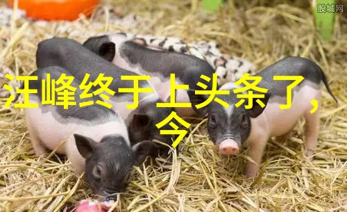 骄阳伴我