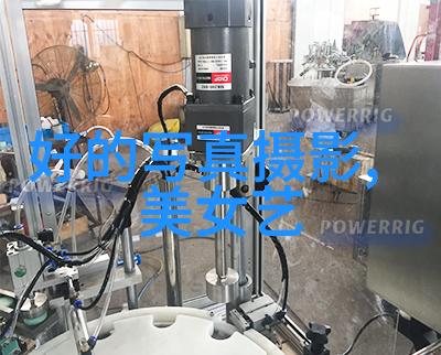 澳大利亚新南威尔士州的美丽之冠雪梨的魅力与文化